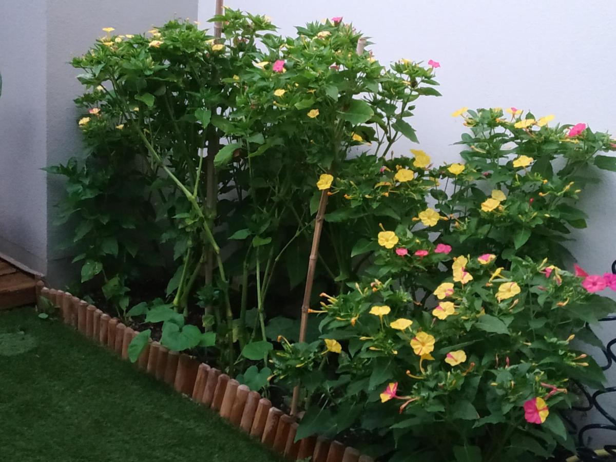 Appartement Rez De Jardin Avec Spa Entre La Mer Et Montpellier 10Mn Lattes Εξωτερικό φωτογραφία